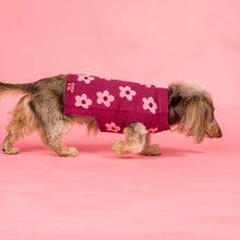 Load image into Gallery viewer, Pablo &amp; Co Bloom Baby Bloom Sweater
