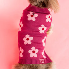 Load image into Gallery viewer, Pablo &amp; Co Bloom Baby Bloom Sweater
