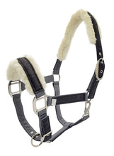 Load image into Gallery viewer, Dazzle Equestrian Halter
