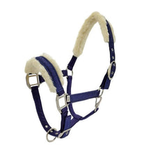 Load image into Gallery viewer, Dazzle Equestrian Halter
