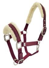 Load image into Gallery viewer, Dazzle Equestrian Halter
