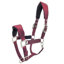 Load image into Gallery viewer, Shimmer Halter
