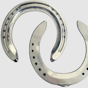 Apple Ascot Aluminium Race Plate Front - Pair