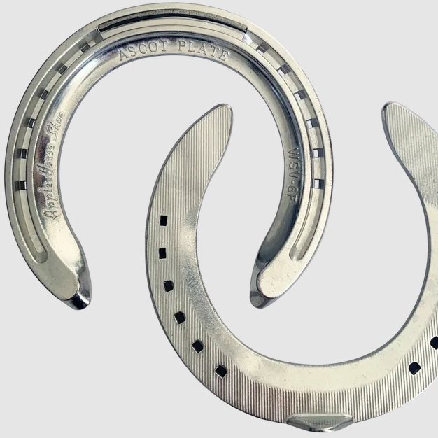 Apple Ascot Aluminium Race Plate Front - Pair