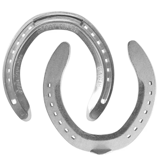 APPLE ASCOT ALUMINIUM RACE PLATE SYM HIND - PAIR