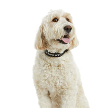 Load image into Gallery viewer, Ariat Team Dog Collar
