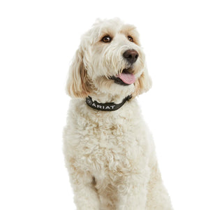 Ariat Team Dog Collar