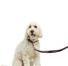 Load image into Gallery viewer, ARIAT TEAM DOG LEASH
