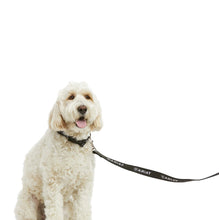 Load image into Gallery viewer, Ariat Team Dog Leash
