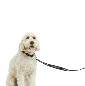 Ariat Team Dog Leash