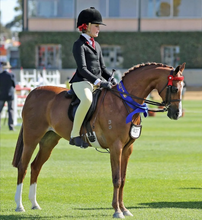 Load image into Gallery viewer, Bare Performance Tight - Youth Competition Wear

