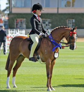 BARE PERFORMANCE TIGHT - YOUTH COMPETITION WEAR