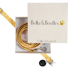 Load image into Gallery viewer, Bella &amp; Bentley Boho Collar &amp; Lead Set
