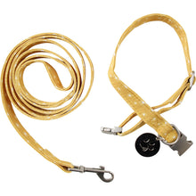Load image into Gallery viewer, Bella &amp; Bentley Boho Collar &amp; Lead Set
