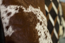 Load image into Gallery viewer, Cow Hide Cushion Cover
