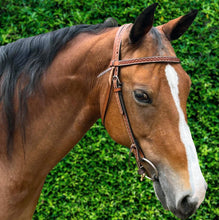 Load image into Gallery viewer, Ezy Ride Stamping Bridle
