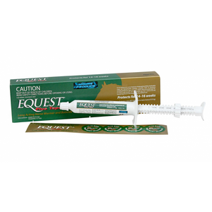 Equest Plus
