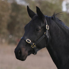Load image into Gallery viewer, Eurohunter Leather Halter

