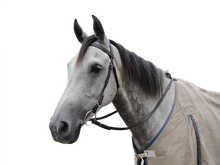 Load image into Gallery viewer, Eureka Plain Snaffle Bridle
