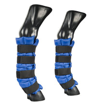 Load image into Gallery viewer, Maximus Ice Boots
