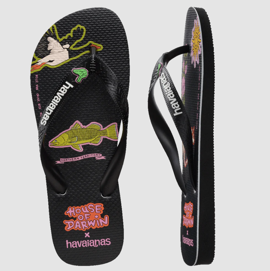 HAVAIANA TOP HOUSE OF DARWIN THONGS