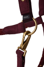 Load image into Gallery viewer, Horze Kenya Anatomical Halter
