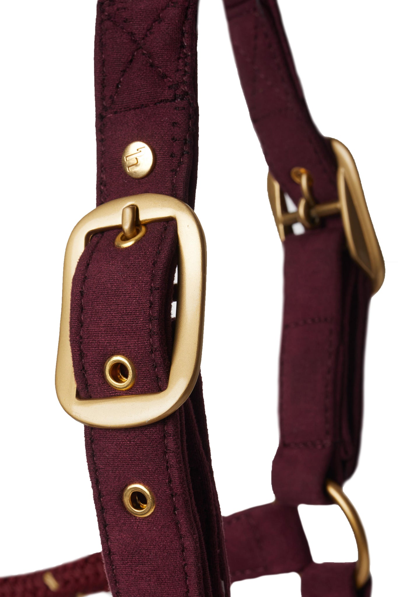 Load image into Gallery viewer, Horze Kenya Anatomical Halter
