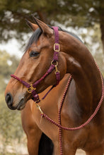 Load image into Gallery viewer, Horze Kenya Anatomical Halter

