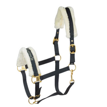 Load image into Gallery viewer, Horze Howard Halter
