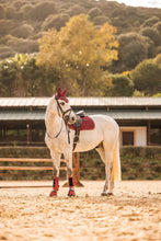Load image into Gallery viewer, Horze Kenya Jumping Pad

