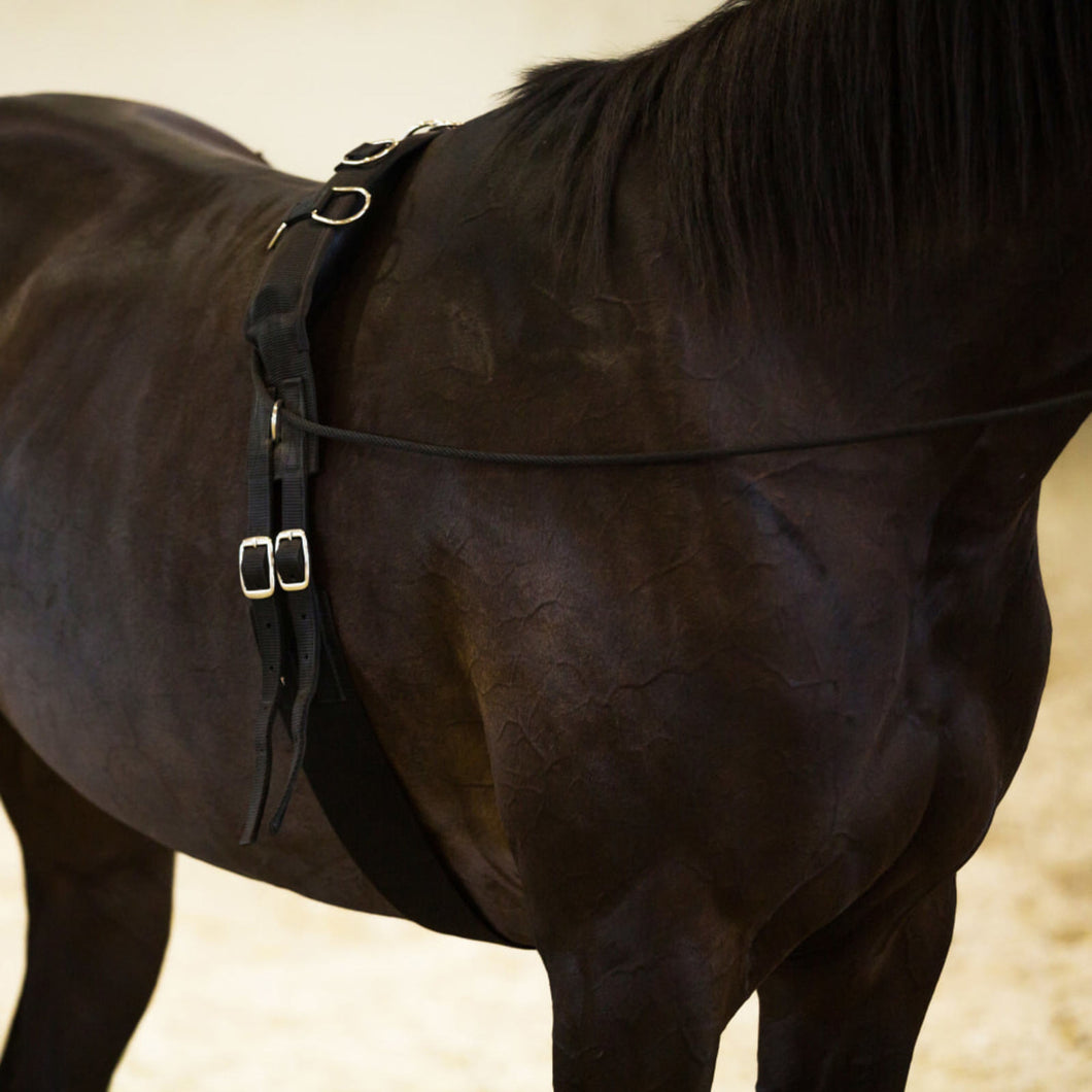 HORZE LUNGING GIRTH NYLON