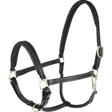 Load image into Gallery viewer, Horze Leather Largo Halter
