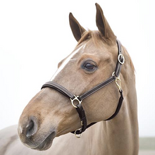 Load image into Gallery viewer, Horze Leather Largo Halter
