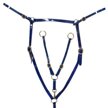 Load image into Gallery viewer, Horse Sense Brass Stockmans Breastplate
