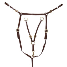 Load image into Gallery viewer, Horse Sense Brass Stockmans Breastplate
