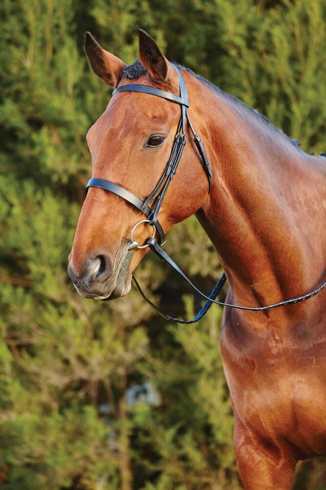 KINCADE RAISED CAVESSON II BRIDLE