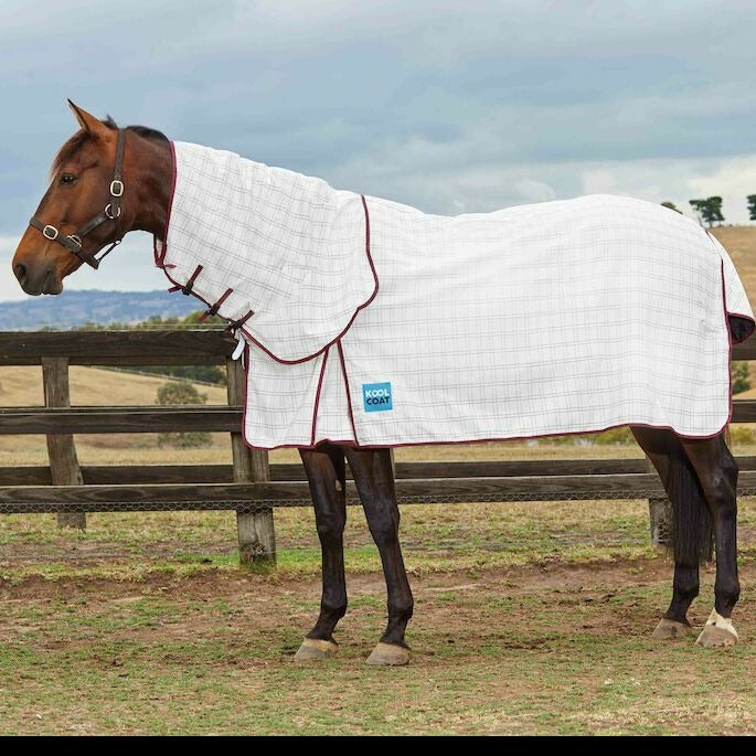 KOOL COAT COTTON COMBO NECK II RUG