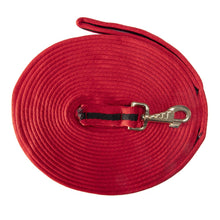 Load image into Gallery viewer, Soft Tubular Web Lunge Lead
