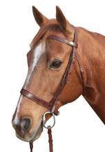 Load image into Gallery viewer, Mcalister Flat Bridle
