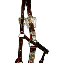 Load image into Gallery viewer, Syd Hill Bowen Show Halter
