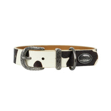Load image into Gallery viewer, PURE WESTERN ADELAIDE DOG COLLAR
