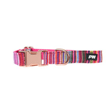 Load image into Gallery viewer, Pure Western Bowie Dog Collar
