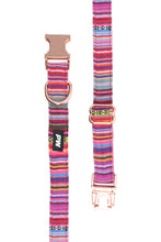 Load image into Gallery viewer, Pure Western Bowie Dog Collar
