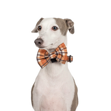 Load image into Gallery viewer, PABLO &amp; CO VINTAGE PLAID BOW TIE
