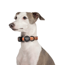 Load image into Gallery viewer, Pablo &amp; Co Vintage Plaid Collar
