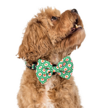 Load image into Gallery viewer, Pablo &amp; Co 70 Style Bow Tie
