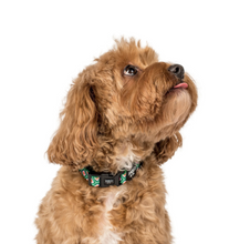 Load image into Gallery viewer, Pablo &amp; Co 70 Style Collar
