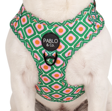 Load image into Gallery viewer, Pablo &amp; Co 70 Style Adjustable Dog Harness
