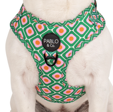 Load image into Gallery viewer, PABLO &amp; CO 70 STYLE ADJUSTABLE DOG HARNESS
