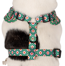Load image into Gallery viewer, Pablo &amp; Co 70 Style Adjustable Dog Harness
